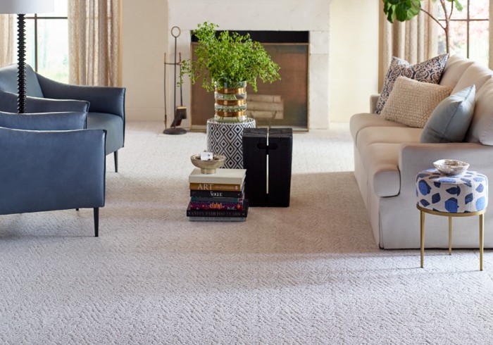 Living room carpet | Carpet House Flooring Center