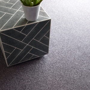Grey carpet | Carpet House Flooring Center