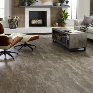 Living room flooring | Carpet House Flooring Center