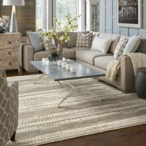 Living room rug | Carpet House Flooring Center