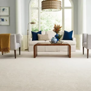 Carpet in living room | Carpet House Flooring Center
