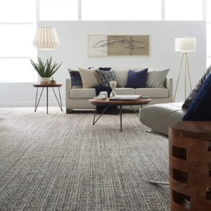 Carpet in a modern living room | Carpet House Flooring Center