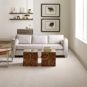 living room Carpet | Carpet House Flooring Center