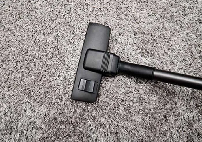 Carpet-Care-img (1)