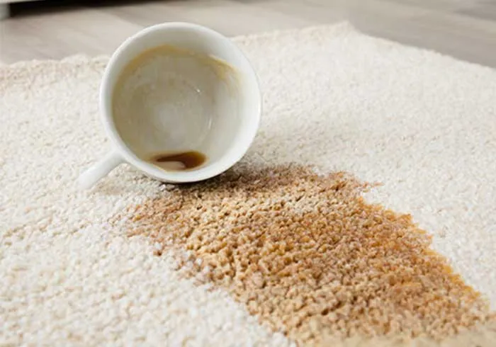 imgi_7_Area-Rug-care-img